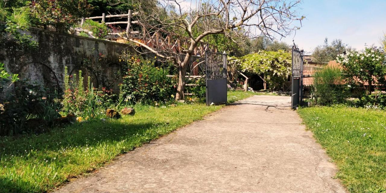 Giardino 21 Marzo Bed & Breakfast Vico Equense Exterior photo
