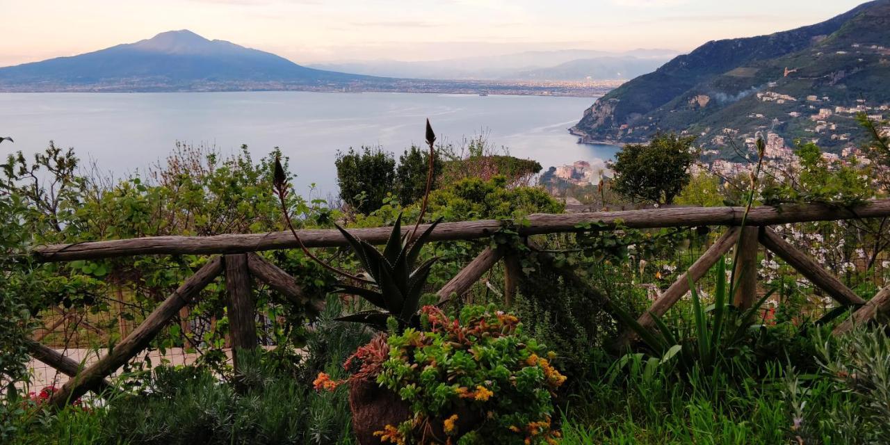 Giardino 21 Marzo Bed & Breakfast Vico Equense Exterior photo