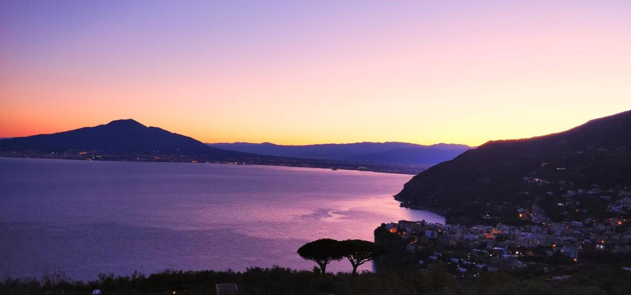 Giardino 21 Marzo Bed & Breakfast Vico Equense Exterior photo