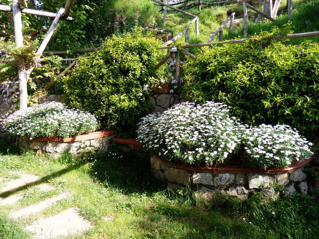 Giardino 21 Marzo Bed & Breakfast Vico Equense Exterior photo