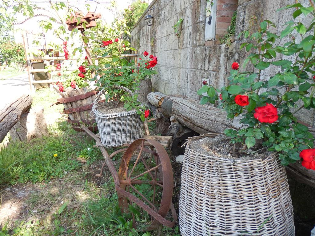 Giardino 21 Marzo Bed & Breakfast Vico Equense Exterior photo