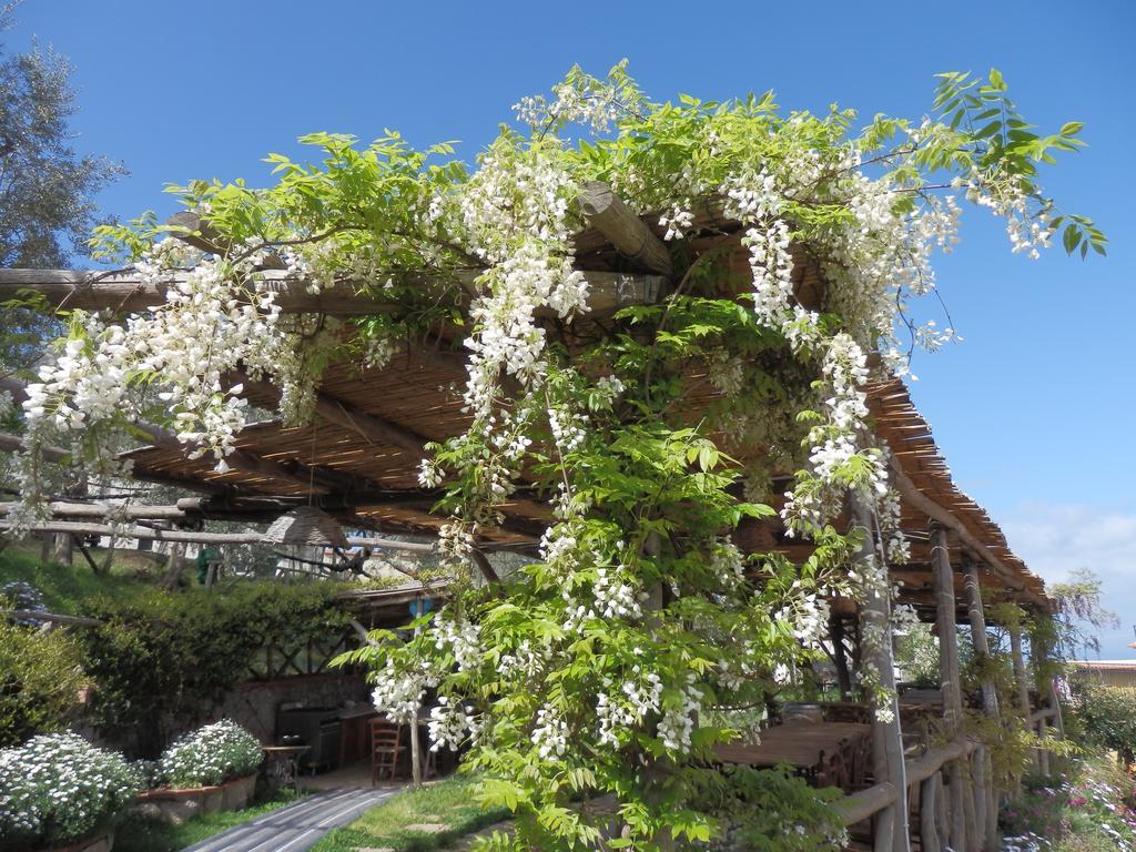 Giardino 21 Marzo Bed & Breakfast Vico Equense Exterior photo