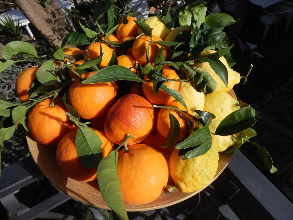 Giardino 21 Marzo Bed & Breakfast Vico Equense Exterior photo