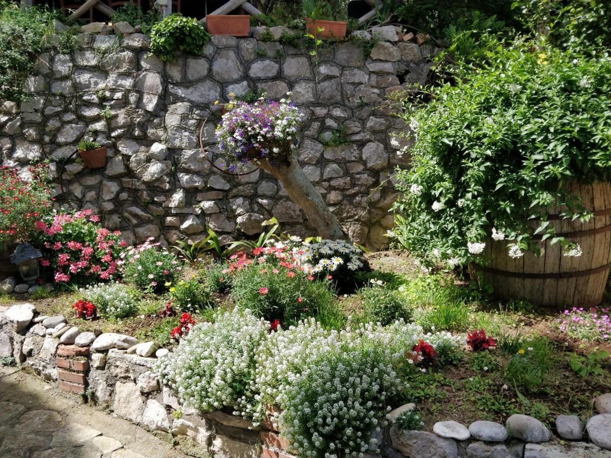 Giardino 21 Marzo Bed & Breakfast Vico Equense Exterior photo